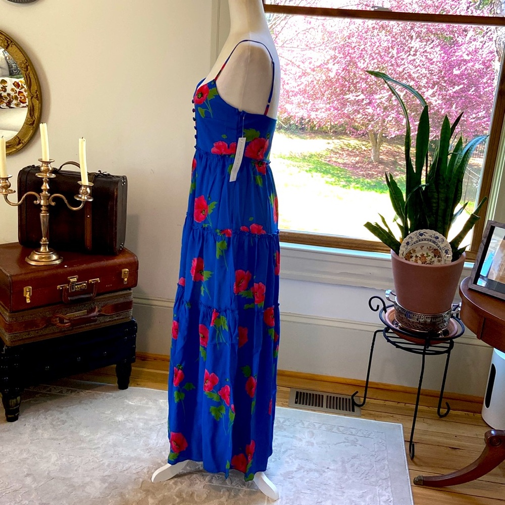 NWT beautiful Flynn Skye blue floral maxi dress size XS - Picture 6 of 9